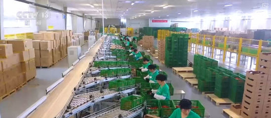 100億、10億、8.7萬(wàn)億!鄉(xiāng)村特色產(chǎn)業(yè)領(lǐng)域拓寬 發(fā)展韌性強(qiáng)