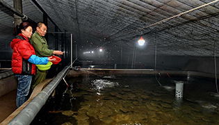 中國網(wǎng)新聞中心 傳遞中國價(jià)值