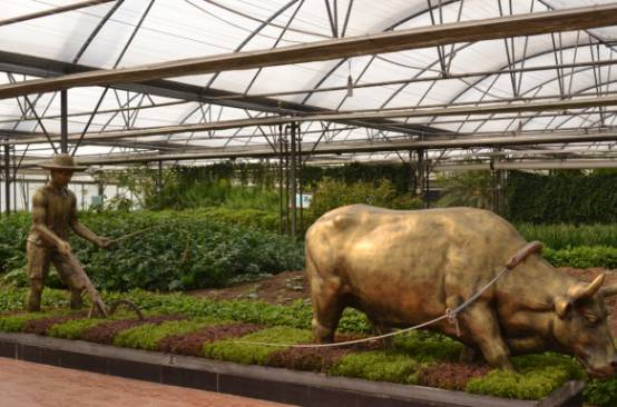 植物工廠走進(jìn)生活 農(nóng)場變農(nóng)廠 家庭自給 蔬菜柜 ,你get到了嗎