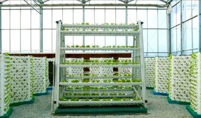 浙江&ldquo;新田鋪&rdquo;智慧農業蔬果工廠 正式投產運行