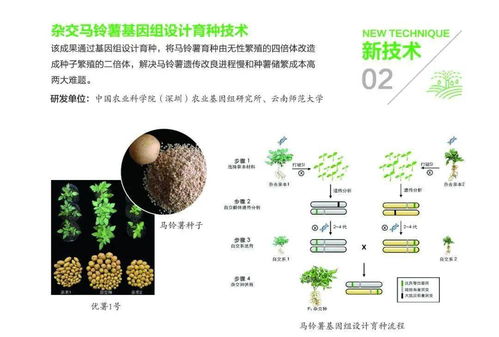 組圖丨31項農業(yè)農村重大新技術新產品新裝備發(fā)布