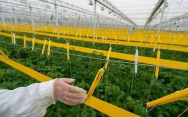 補(bǔ)貼上百萬!數(shù)字農(nóng)業(yè)工廠:智能化、自動(dòng)化的農(nóng)業(yè)生產(chǎn)新模式