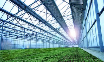 農(nóng)業(yè)也能玩轉(zhuǎn)高科技,看傳統(tǒng)農(nóng)業(yè)如何向生態(tài)農(nóng)業(yè)轉(zhuǎn)變?