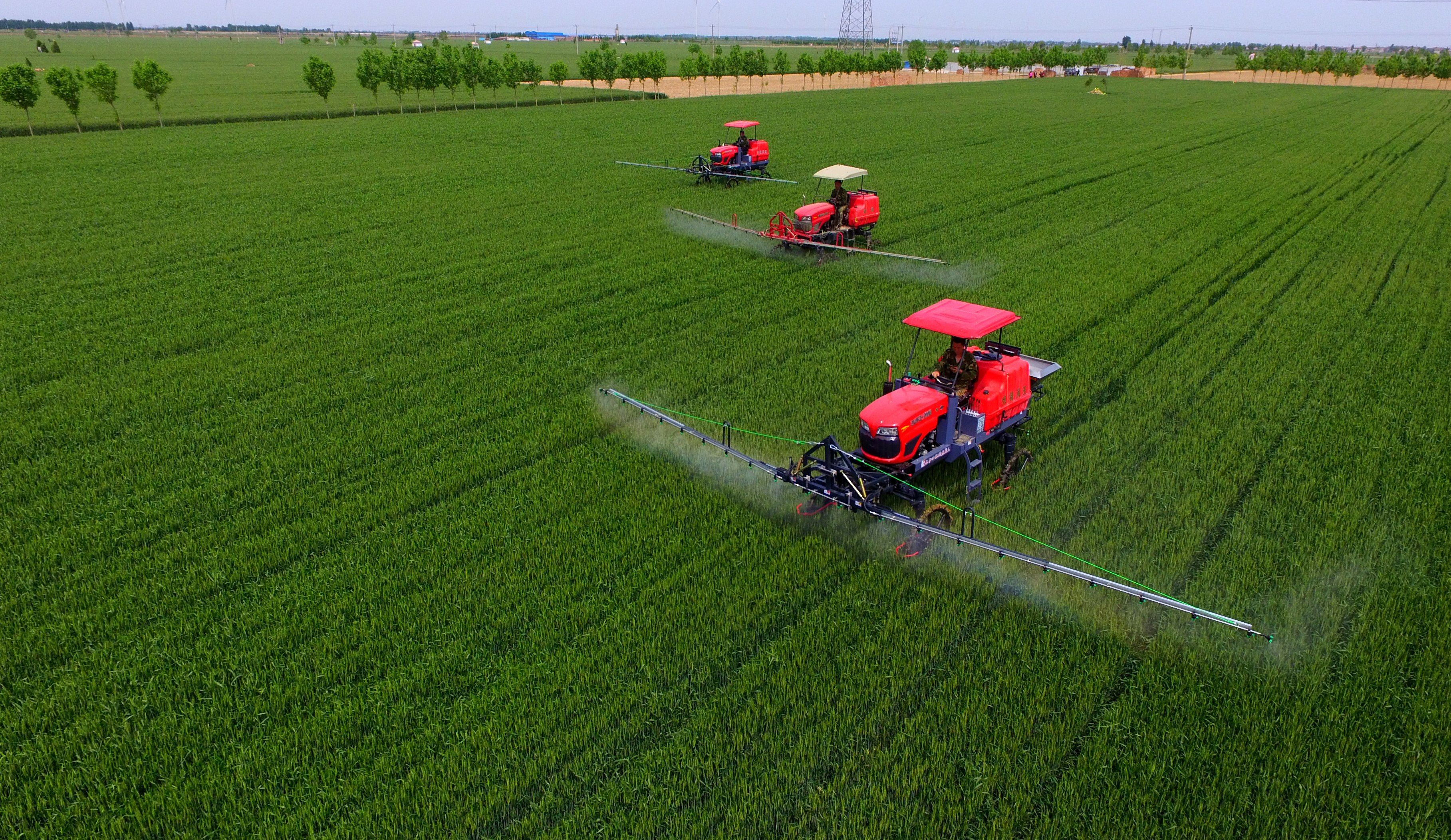 夏糧豐收在望 農業&ldquo;壓艙石&rdquo;穩固--鄉村振興不斷夯實經濟社會發展根基