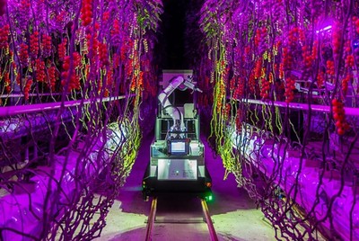 電裝與Certhon跨界創(chuàng)新實(shí)踐 Artemy機(jī)器人 開啟農(nóng)業(yè)工廠化時(shí)代