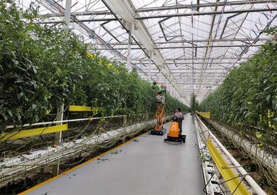 【春耕一線見聞】桐城:數(shù)字技術(shù)&ldquo;上山下田&rdquo; 農(nóng)產(chǎn)品&ldquo;出村進(jìn)城&rdquo;