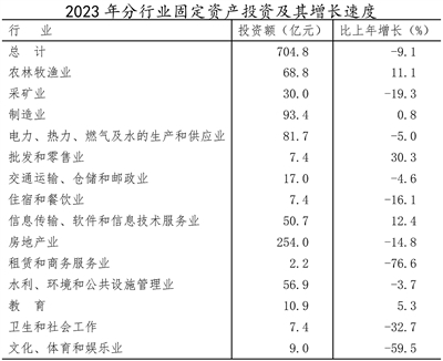 大同市2023年軟件和信息技術服務業投資與管理發展分析