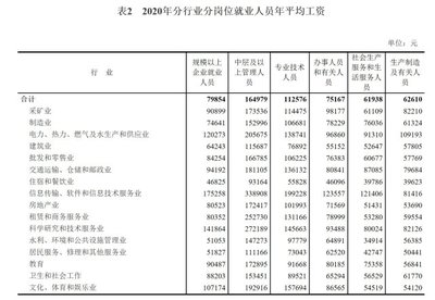 軟件和信息技術(shù)服務(wù)業(yè)投資與管理 以2020年全國規(guī)上企業(yè)薪資增長為鏡